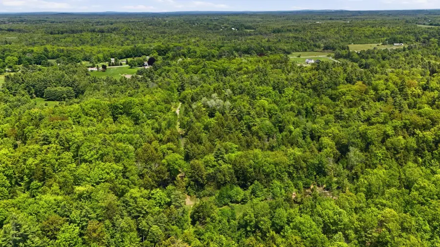 Lot  16C-1 Palmer Road, Buxton, ME 04093 - #3