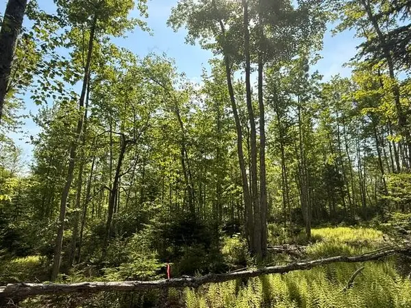 Lot #16 Sunset Cove Way, Orland, ME 04472