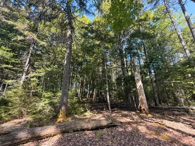 Lot #17 Sunset Cove Way, Orland, ME 04472 - #1