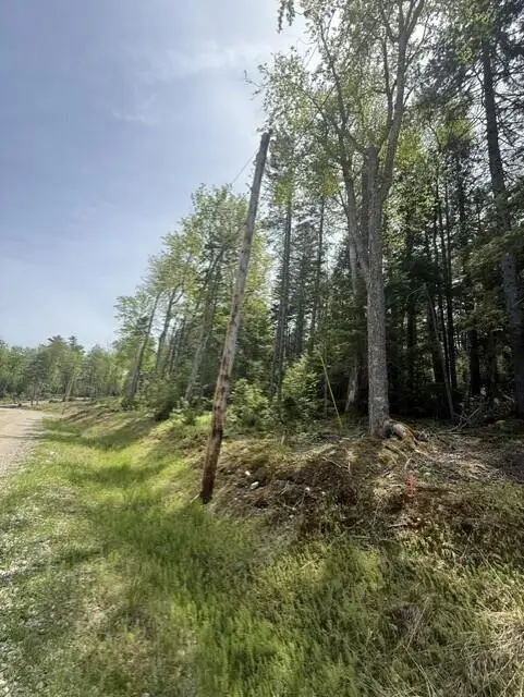 Lot #17 Sunset Cove Way, Orland, ME 04472 - #2