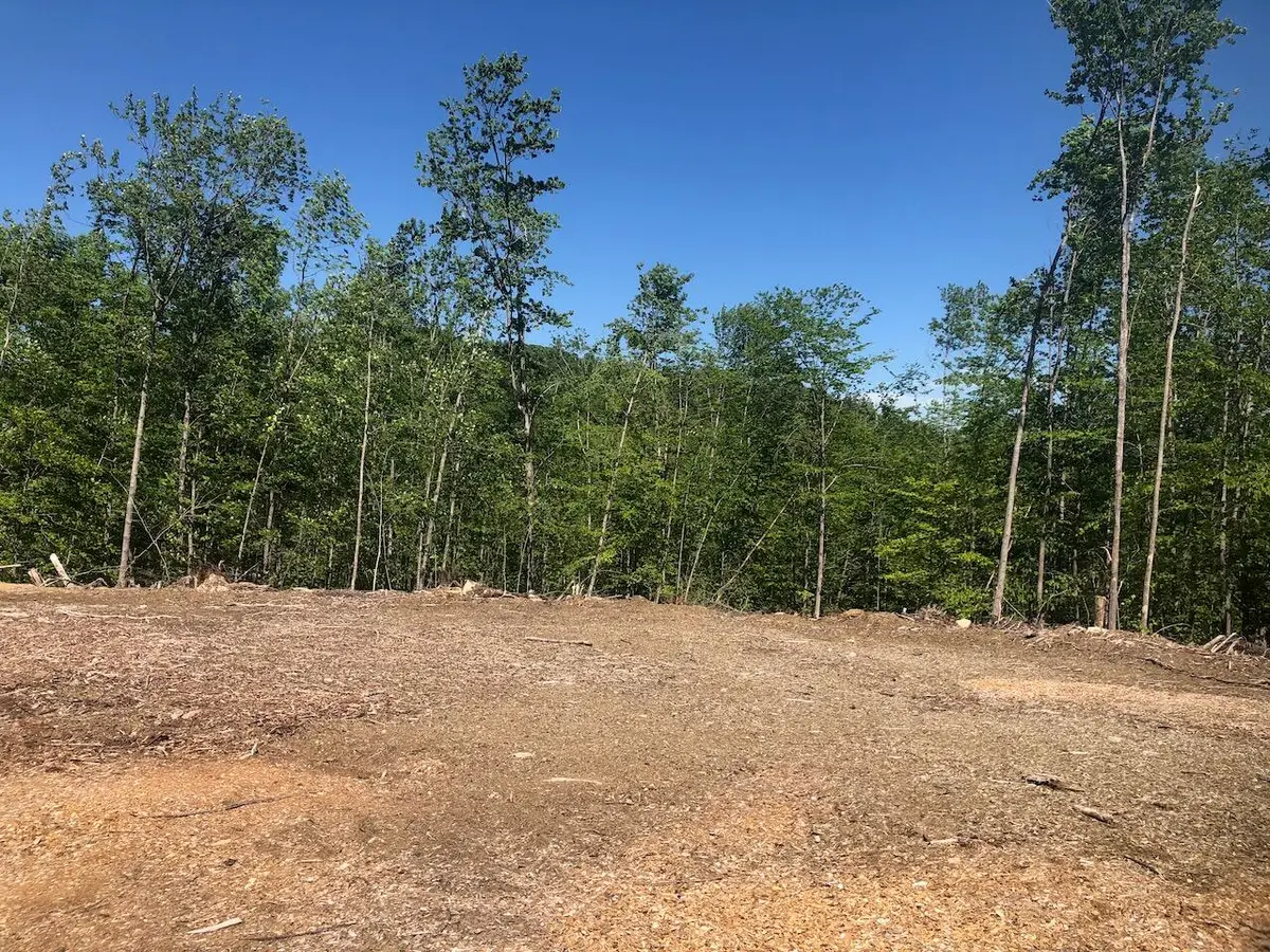 L25 Canton Mountain Road, Jay, ME 04239 - #1