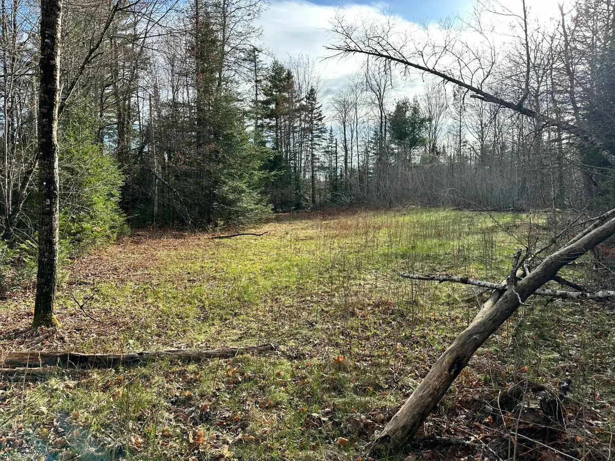 Map 8 Lot 12 Crane Bridge Road, Monroe, ME 04951 - #1