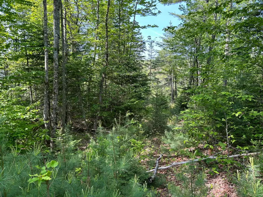 M5L13 Clark Road, Prospect, ME 04981 - #2
