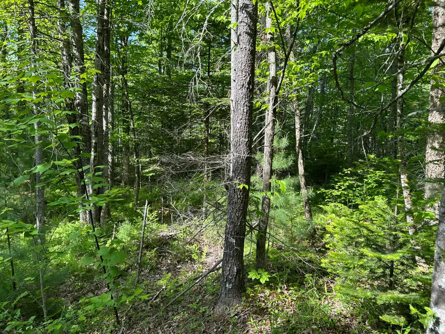 M5L13 Clark Road, Prospect, ME 04981 - #3