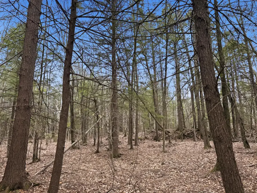 0 Old Portland Road, Brunswick, ME 04011 - #2
