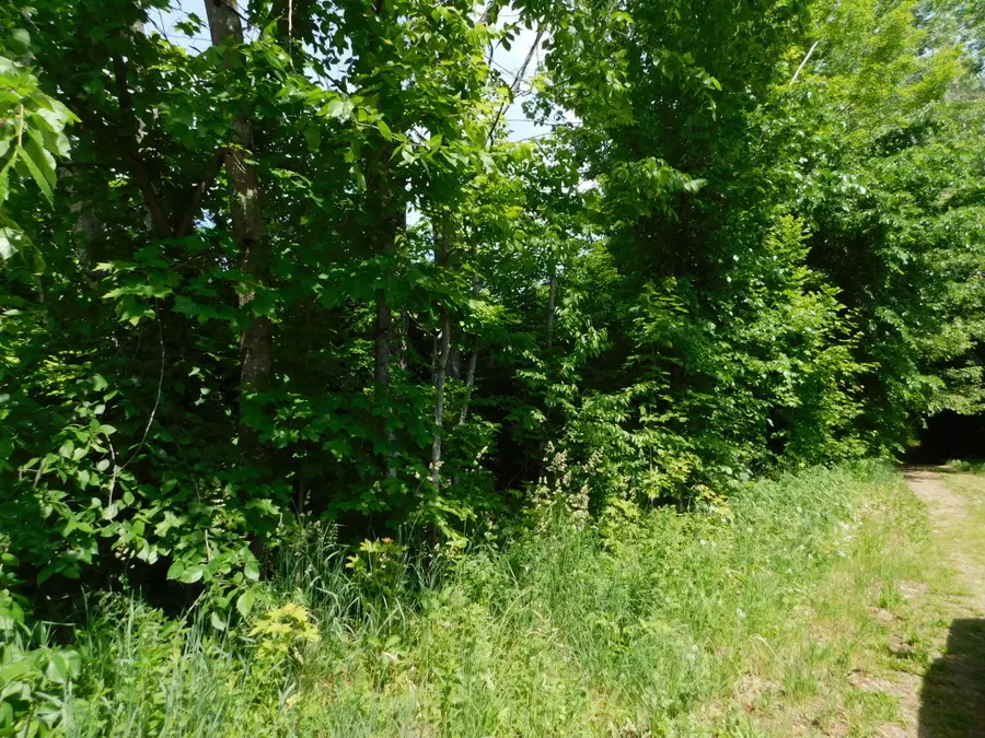 M3 L20 Off Ford Hill Road, Hartland, ME 04943 - #3