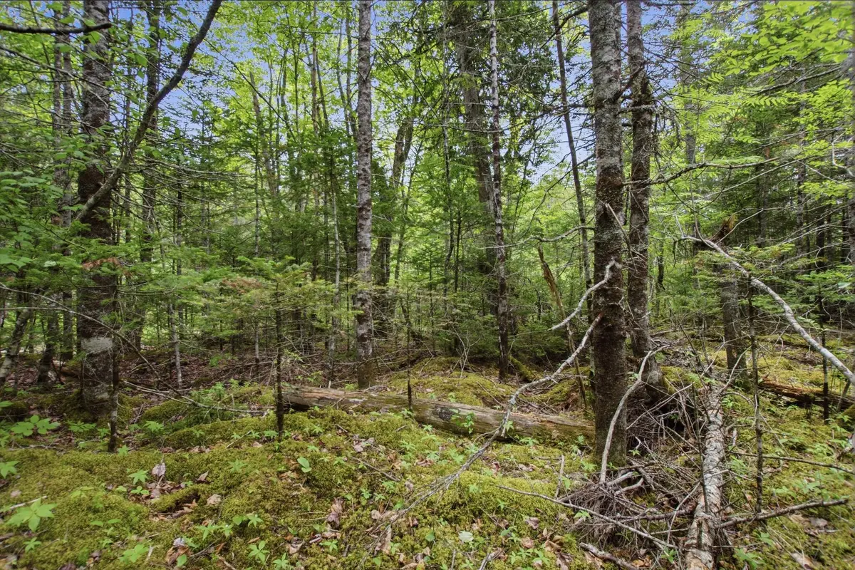 00 Kennebec Road, Machiasport, ME 04655 - #1