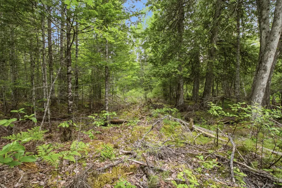 00 Kennebec Road, Machiasport, ME 04655 - #3