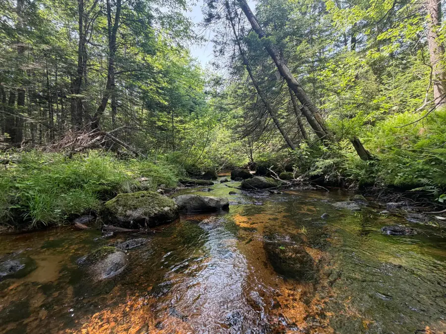 R13- 30.2 Buckfield Road, Paris, ME 04281 - #2