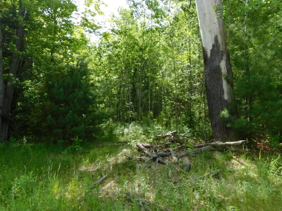 244 Canaan Road, Hartland, ME 04943 - #2