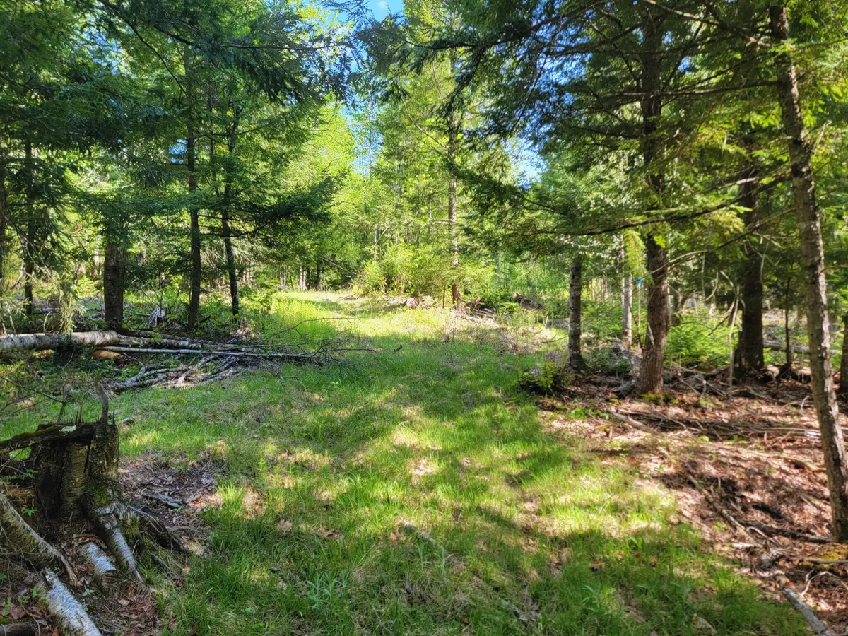 67 Bog Brook Road, China, ME 04358 - #1