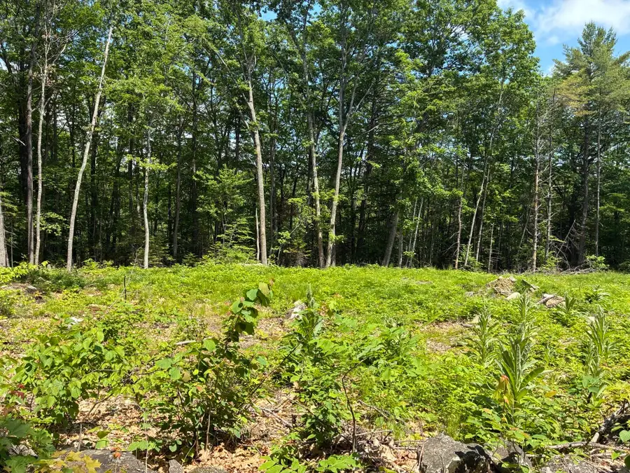 Map7Lot40 Round The Pond Road, Norway, ME 04268 - #2