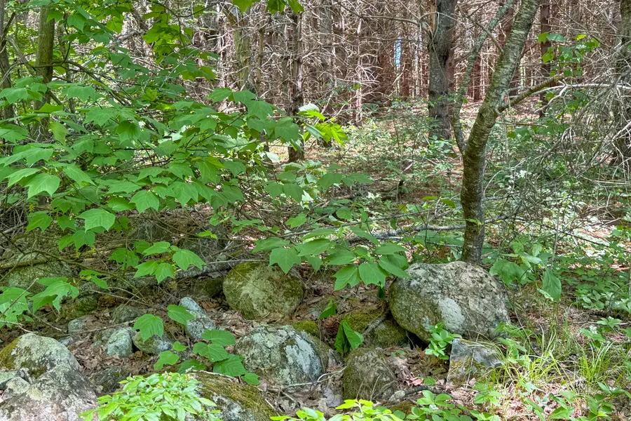 lot 23 Mountain View Lane, Hope, ME 04847 - #3