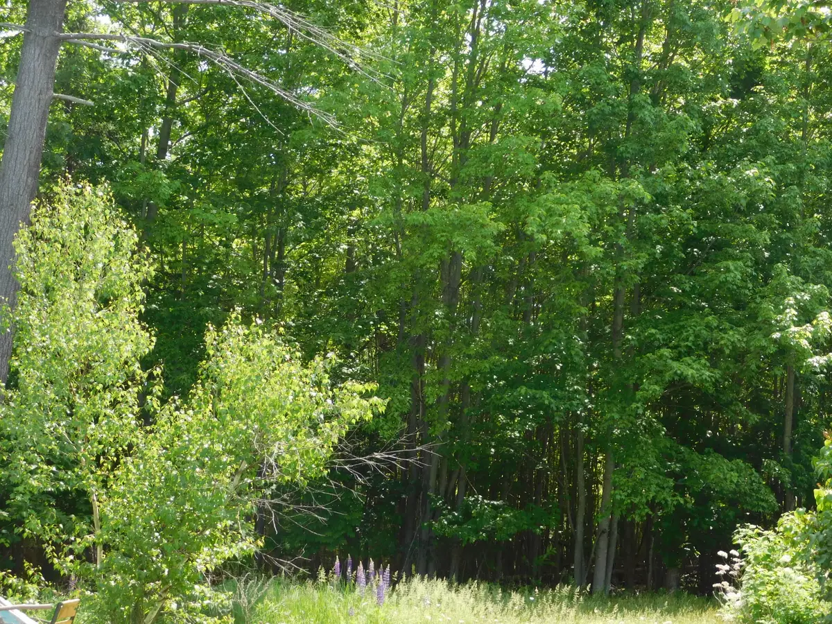 M18 L88 Crosby Street, Hartland, ME 04943 - #1