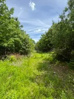 13B Richardson Road, Orrington, ME 04474 - #3