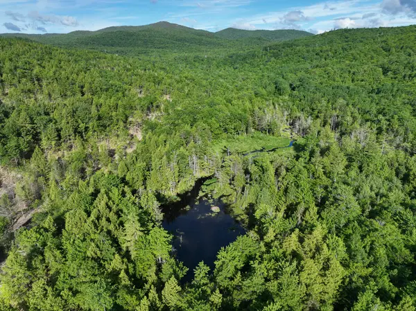 Map 10 Lot 1 Dow Brook Road, Peru, ME 04290