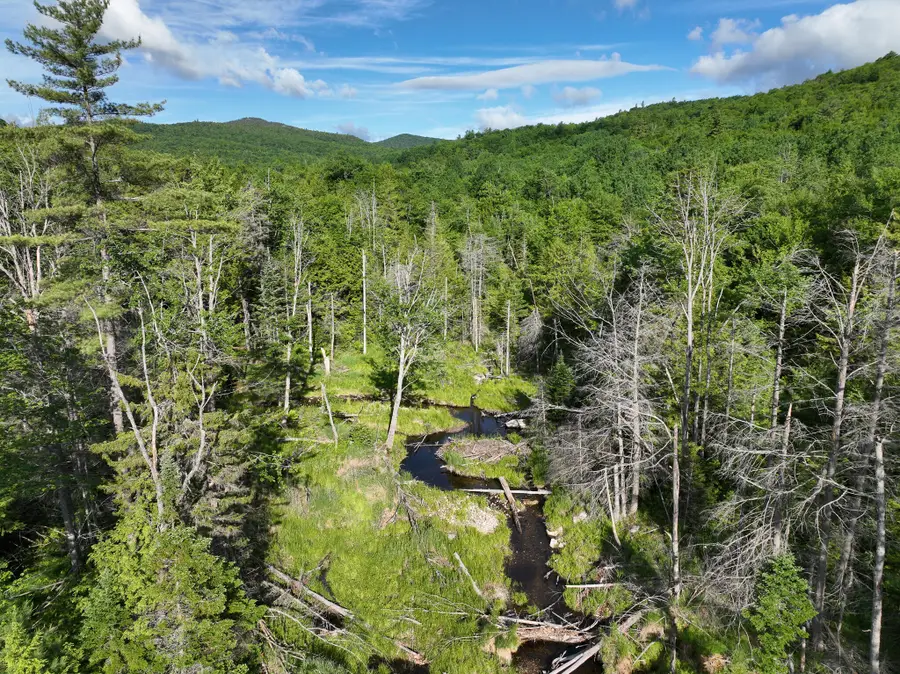 Map 10 Lot 1 Dow Brook Road, Peru, ME 04290 - #2