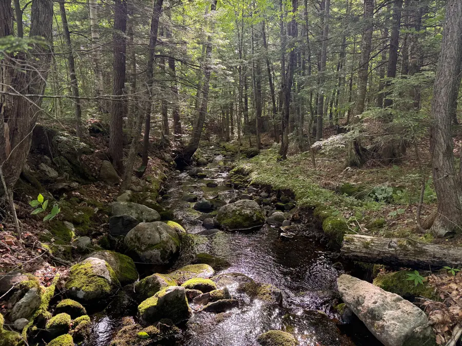 Map 10 Lot 1 Dow Brook Road, Peru, ME 04290 - #3