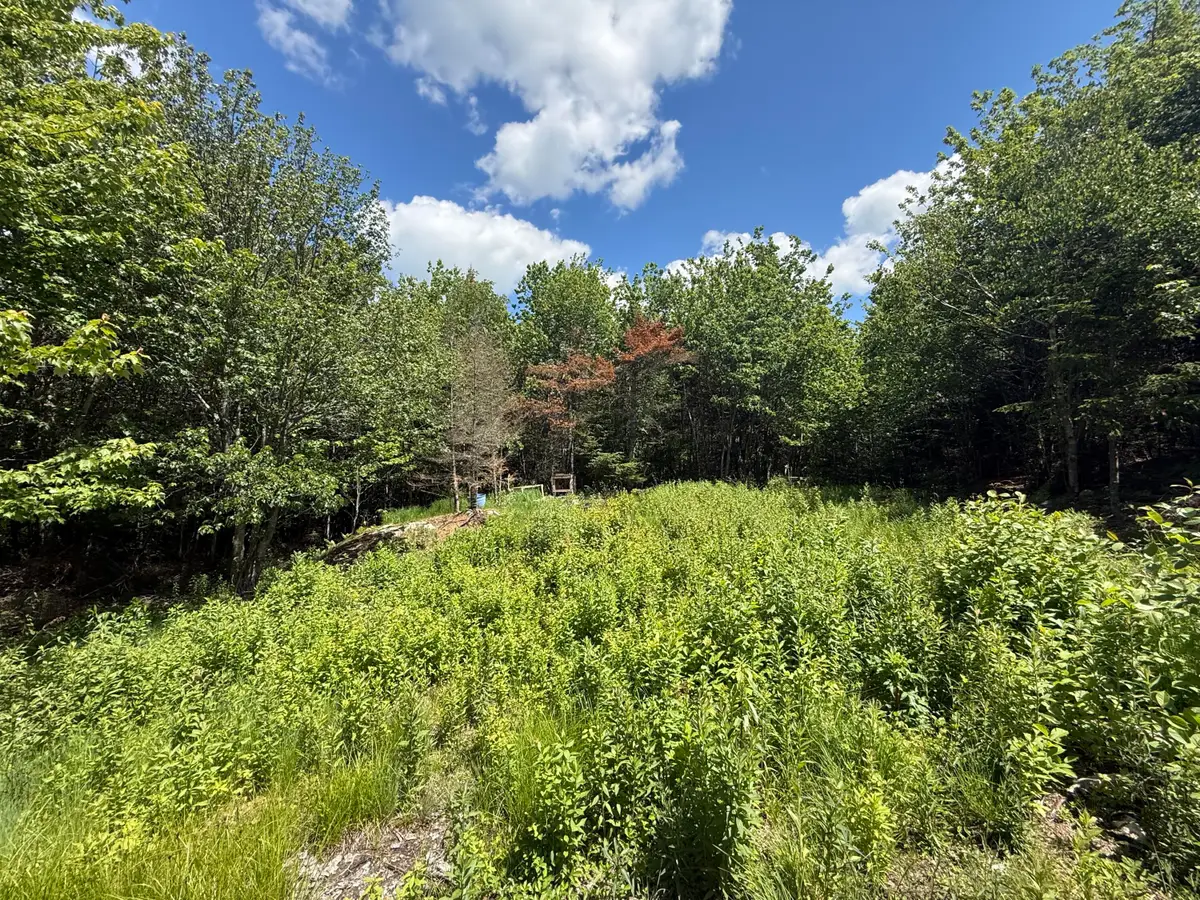 Lot 27 Lively Brook Acres, Whiting, ME 04691 - #1