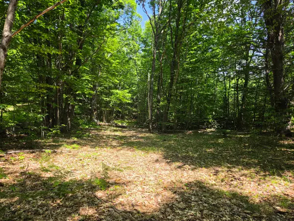 0 Quarry Road, Jay, ME 04239