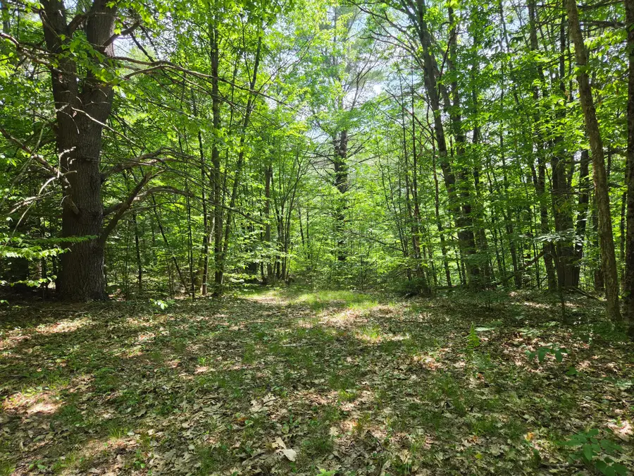 0 Quarry Road, Jay, ME 04239 - #2