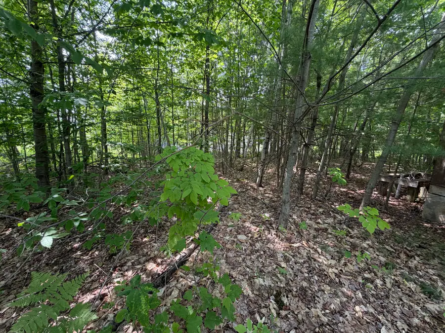 444 Campground Road, Livermore Falls, ME 04958 - #2