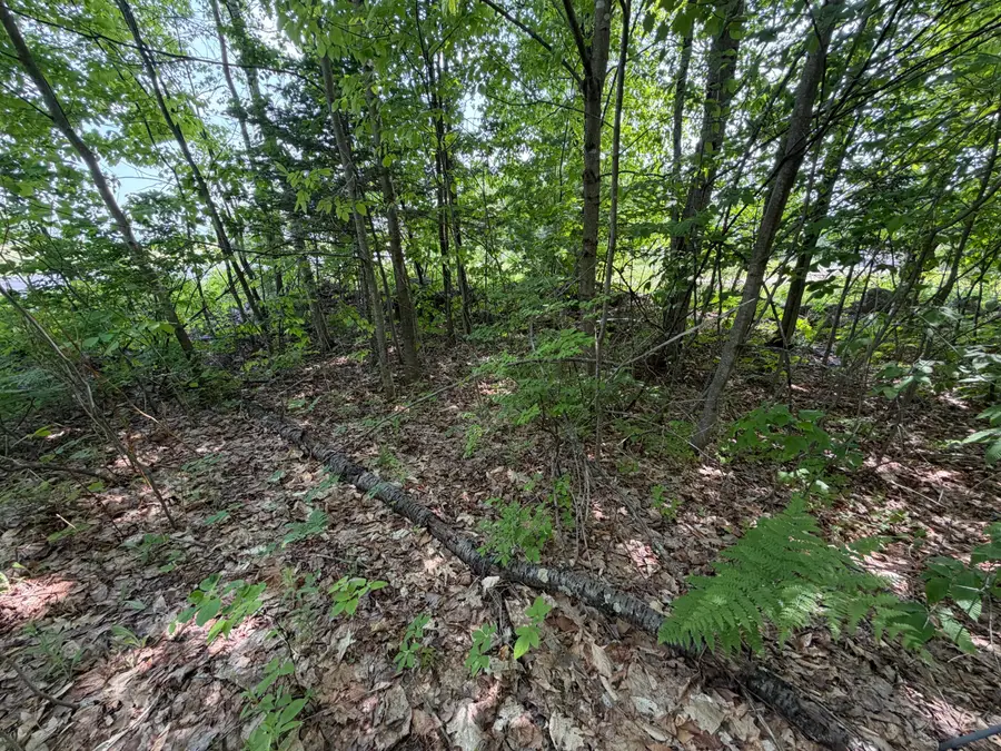 444 Campground Road, Livermore Falls, ME 04958 - #3