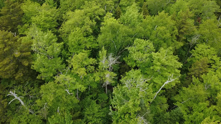 Lot 02-1 Off Rockwood Road, Rockwood, ME 04478 - #3