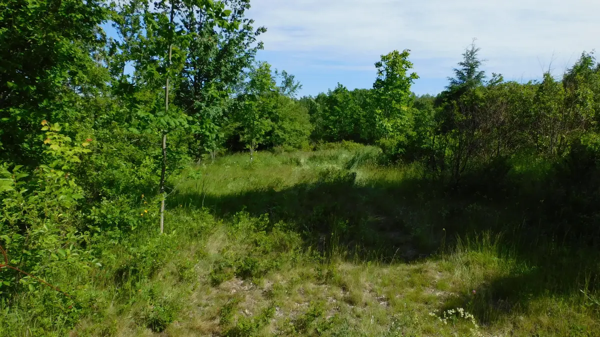 267 Ridge Road, Robbinston, ME 04671 - #1