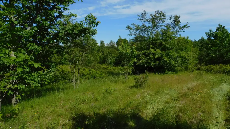 267 Ridge Road, Robbinston, ME 04671 - #2
