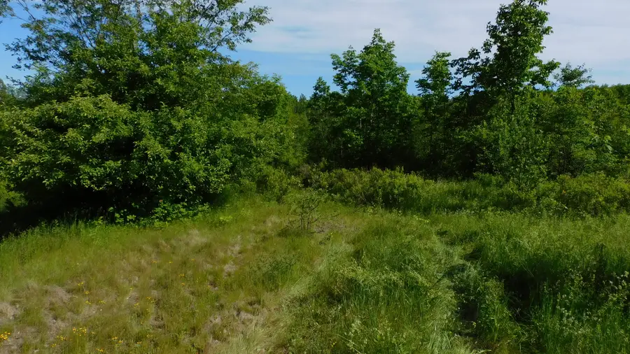 267 Ridge Road, Robbinston, ME 04671 - #3