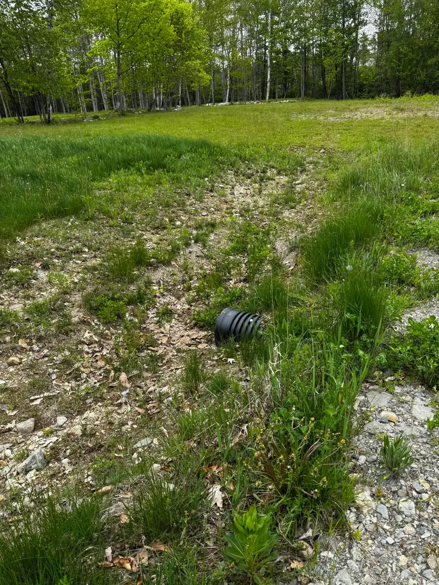 M5 00 Leavitt Lane, Palmyra, ME 04965 - #2