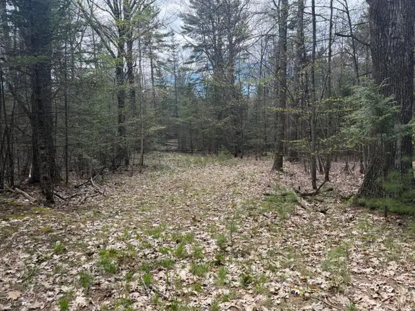 0 Hodsdon Road, Pownal, ME 04069