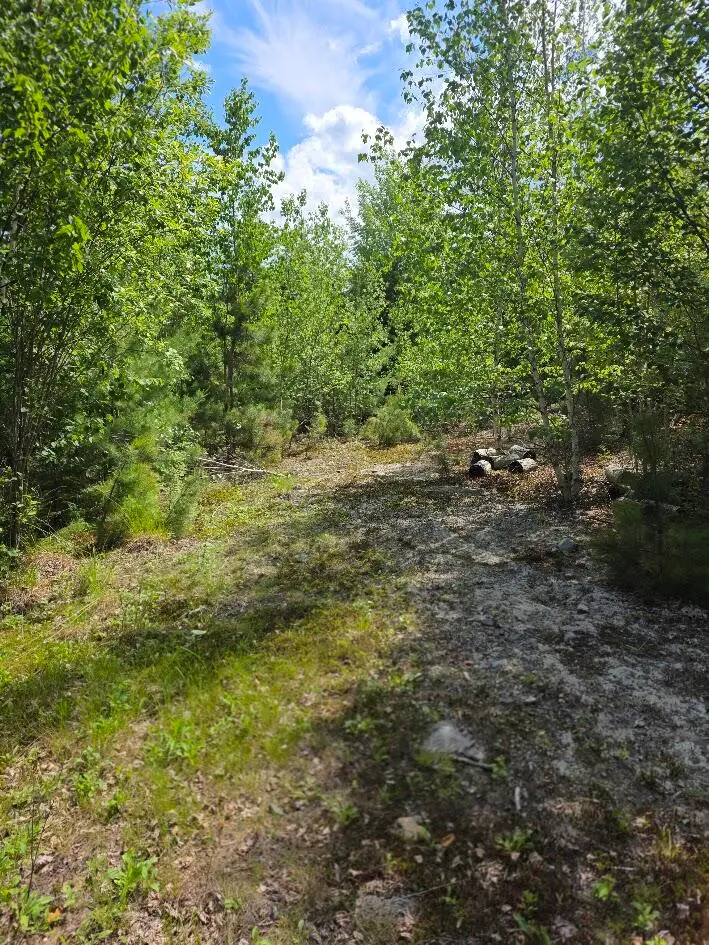 0 E Pleasant River Lake Road, Beddington, ME 04622 - #2