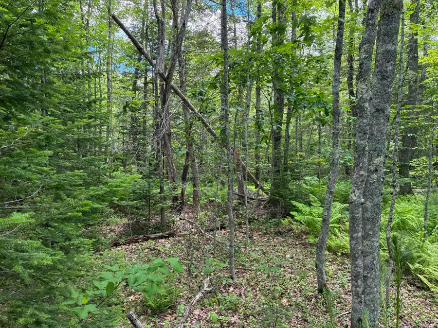Lot #40 Route 17 (augusta Road), Washington, ME 04574 - #3