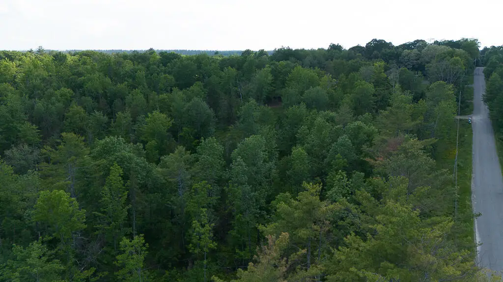 Lot 1 Pond Road, Burnham, ME 04922 - #1