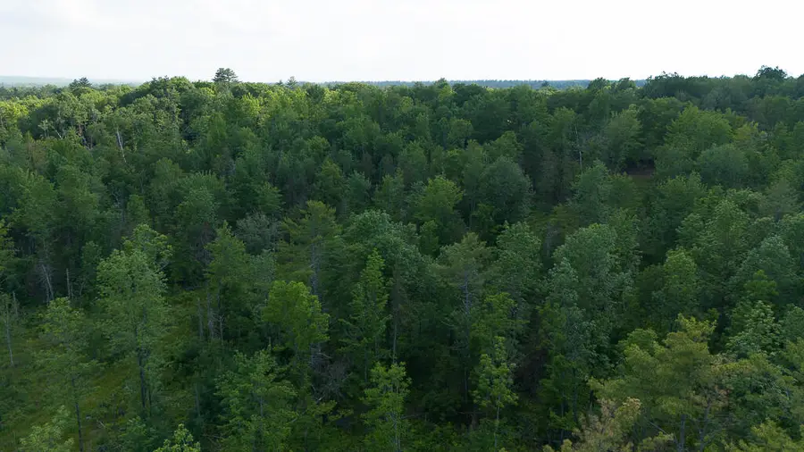 Lot 1 Pond Road, Burnham, ME 04922 - #2