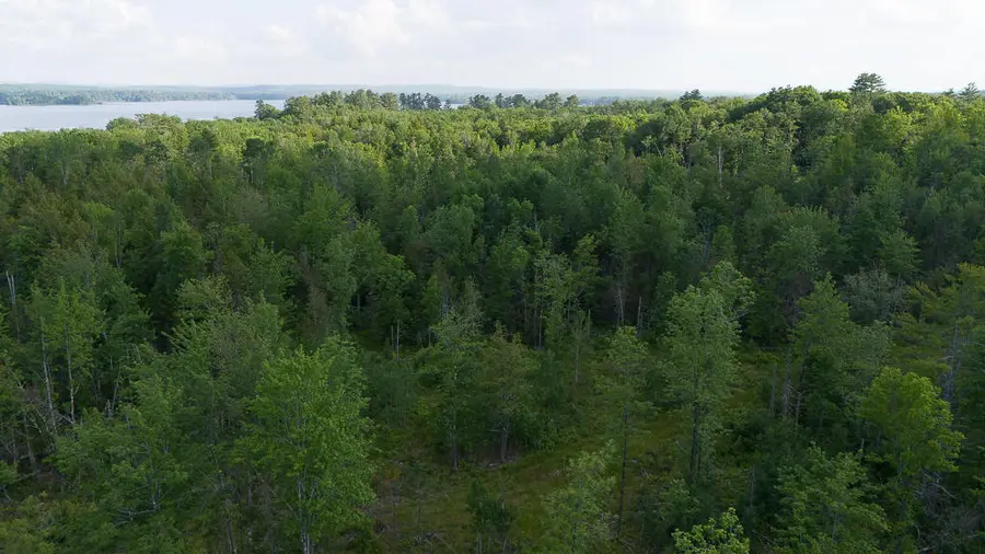 Lot 1 Pond Road, Burnham, ME 04922 - #3