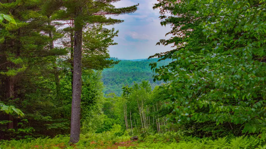 Lot 31B Mcdaniel's Drive, Waterford, ME 04088 - #2