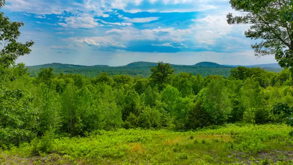 Lot 31C David Road, Waterford, ME 04088