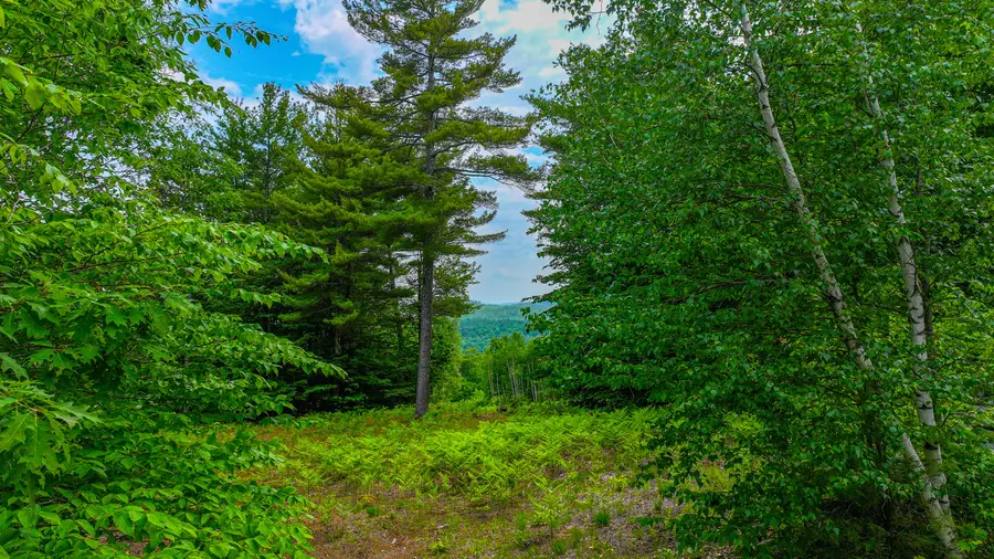 Lot 31C David Road, Waterford, ME 04088 - #2