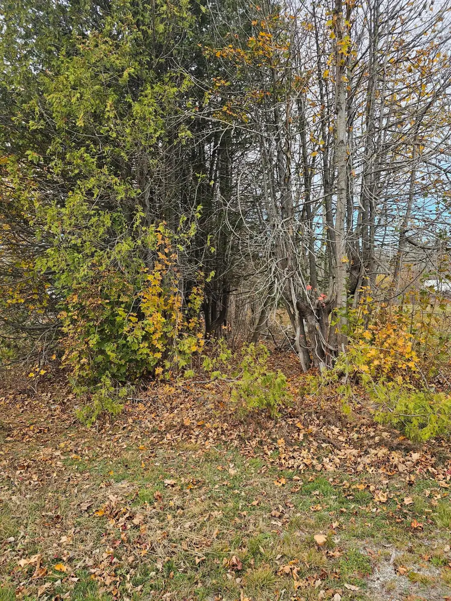 Map 15, Lot 109, Main Street, Franklin, ME 04634 - #2
