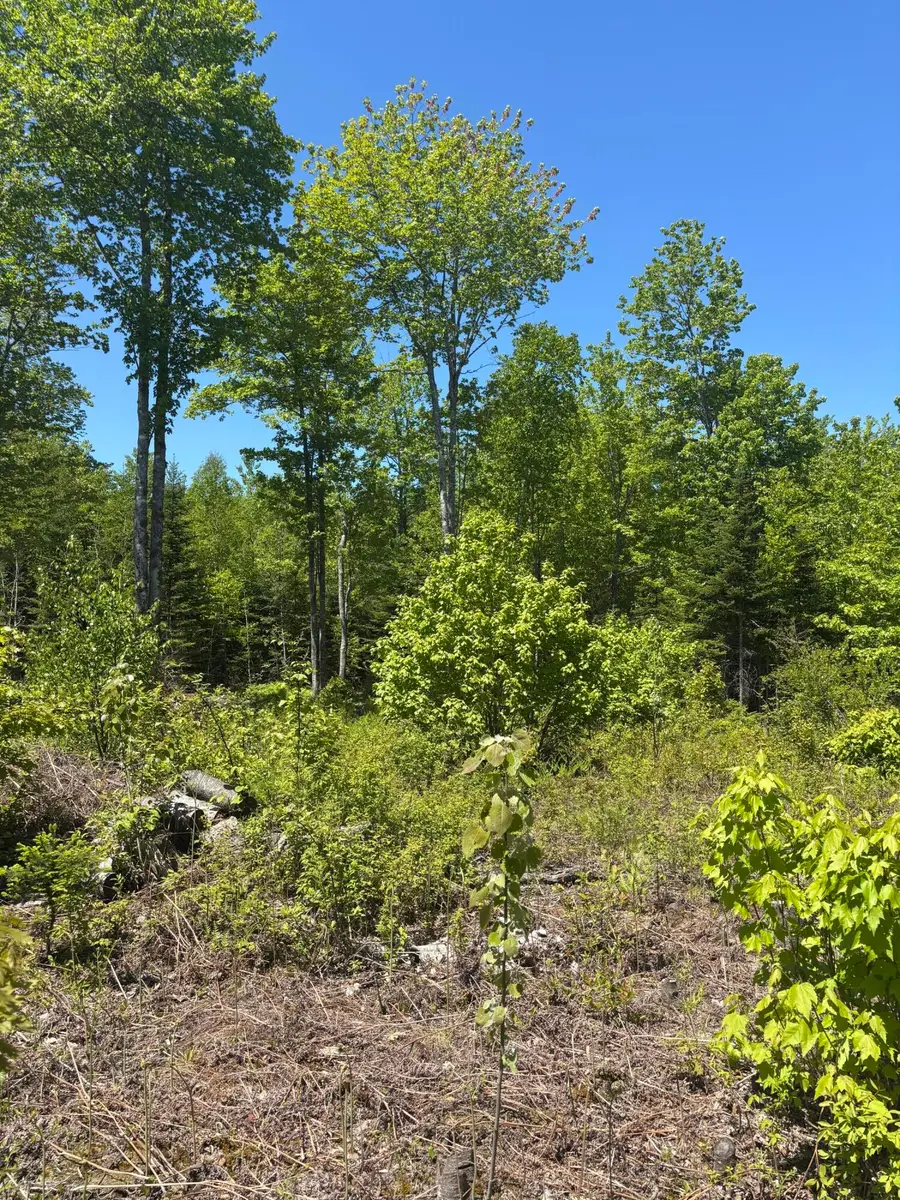 54 Poplar Lane, Hancock, ME 04640 - #2