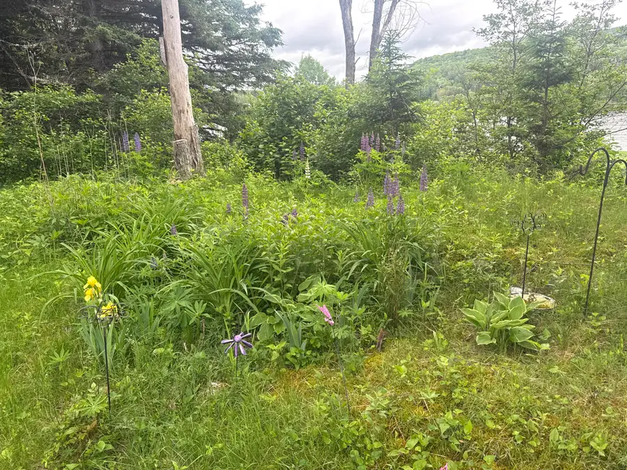 687 N Perley Brook Road, Fort Kent, ME 04743 - #3