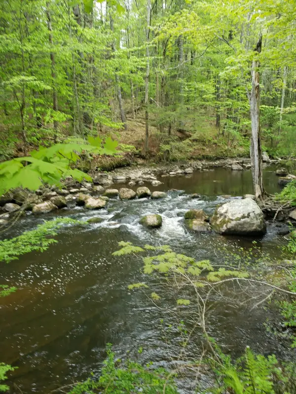 0 Hall Road, Windham, ME 04062