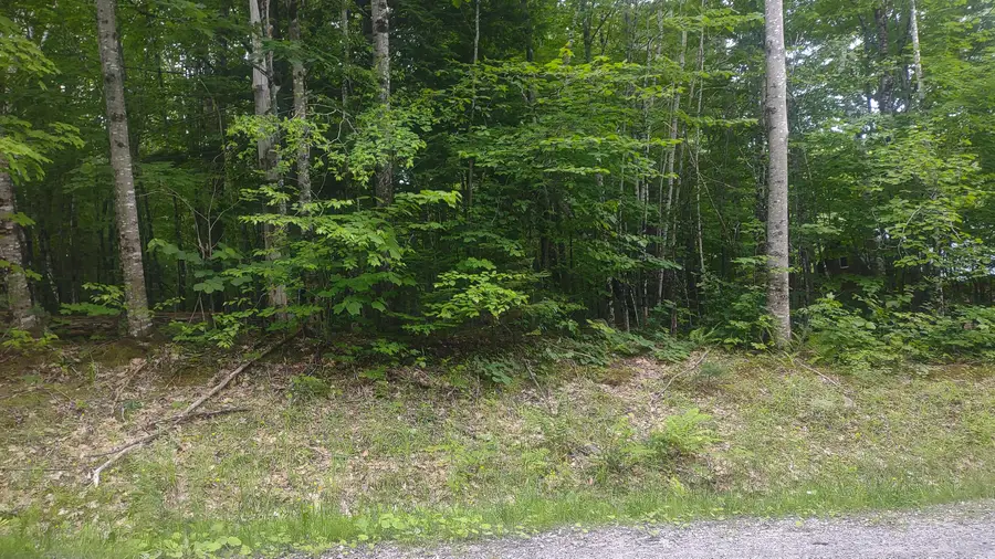 TBD Stream Road Road, Vienna, ME 04360 - #3