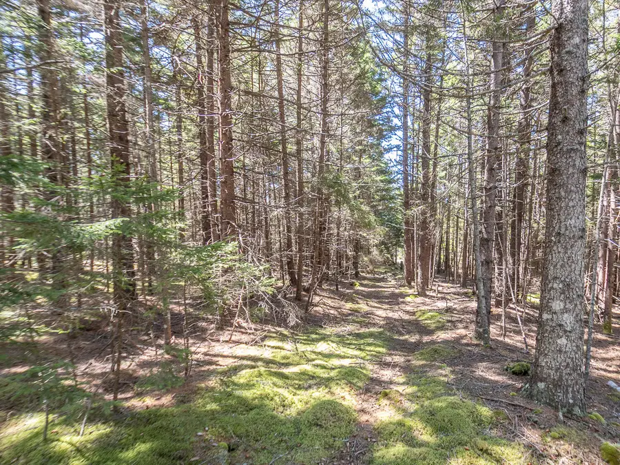 4/30 M/L North Road, Swans Island, ME 04685 - #2