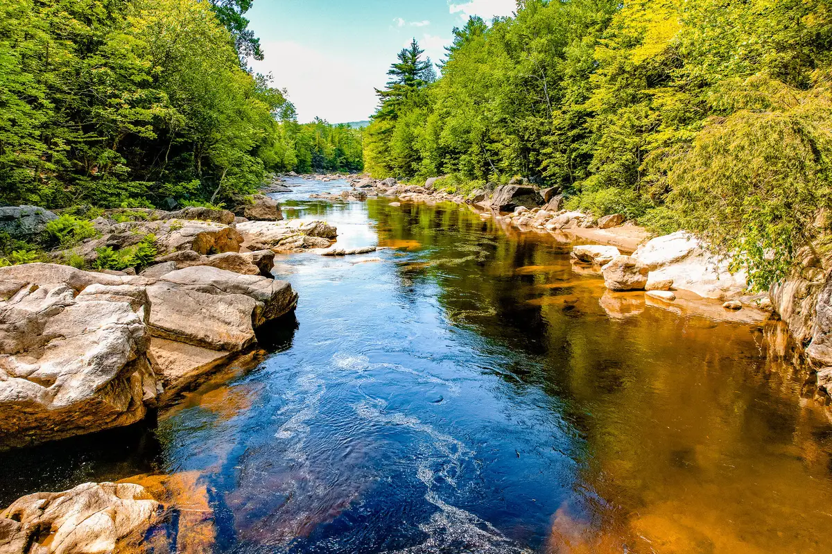 1574 Roxbury Road, Roxbury, ME 04275 - #1