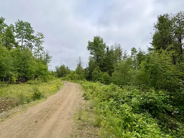 Lot 11 Mt. Jefferson Heights, Lee, ME 04455