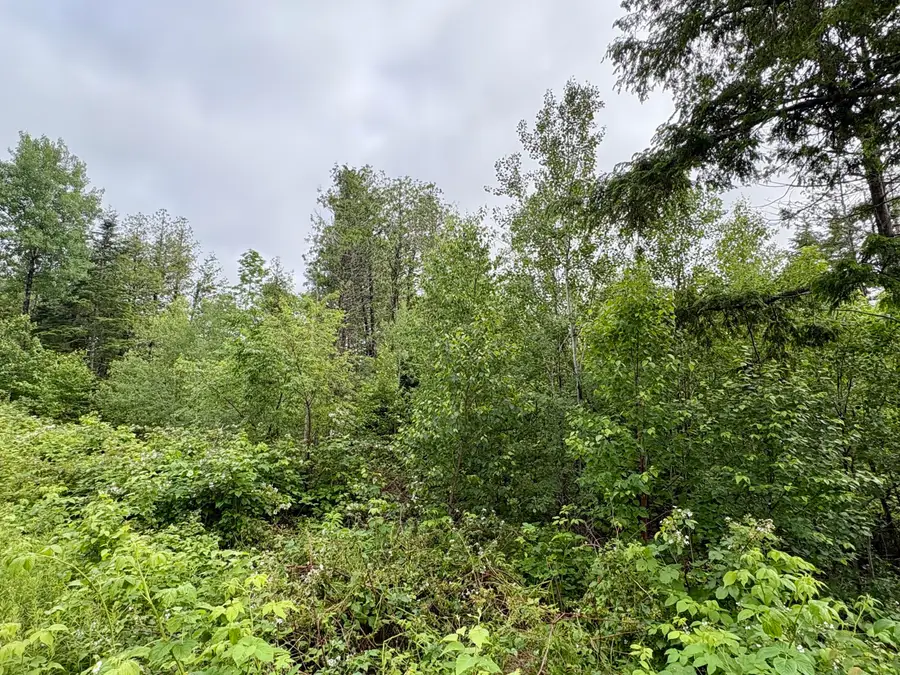 Lot 11 Mt. Jefferson Heights, Lee, ME 04455 - #3